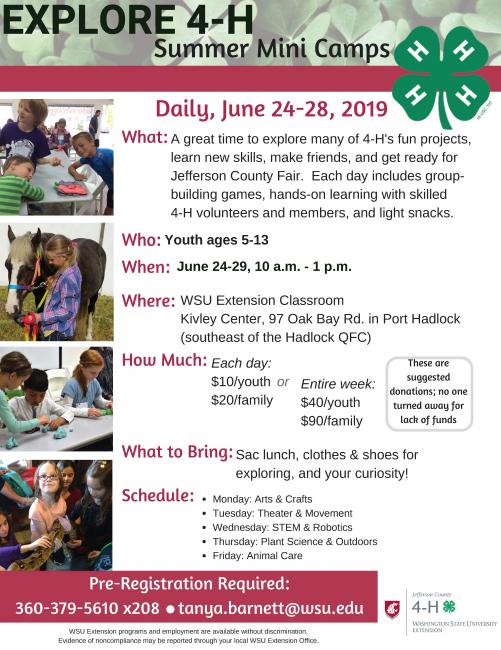 Youth ages 5-13: join us daily for some of the best that 4-H has to offer! Art, theater, robotics, gardening, animals, and much more!